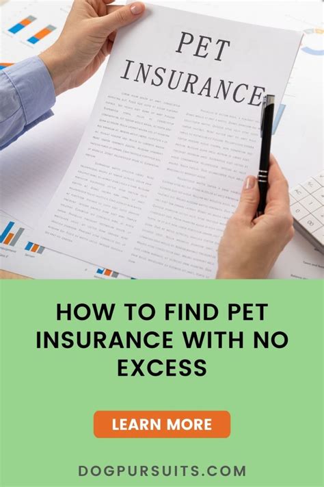 pet insurance no excess.insquoteslk.com.